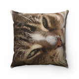 Snooze Cat Faux Suede Square Pillow
