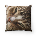 Snooze Cat Faux Suede Square Pillow